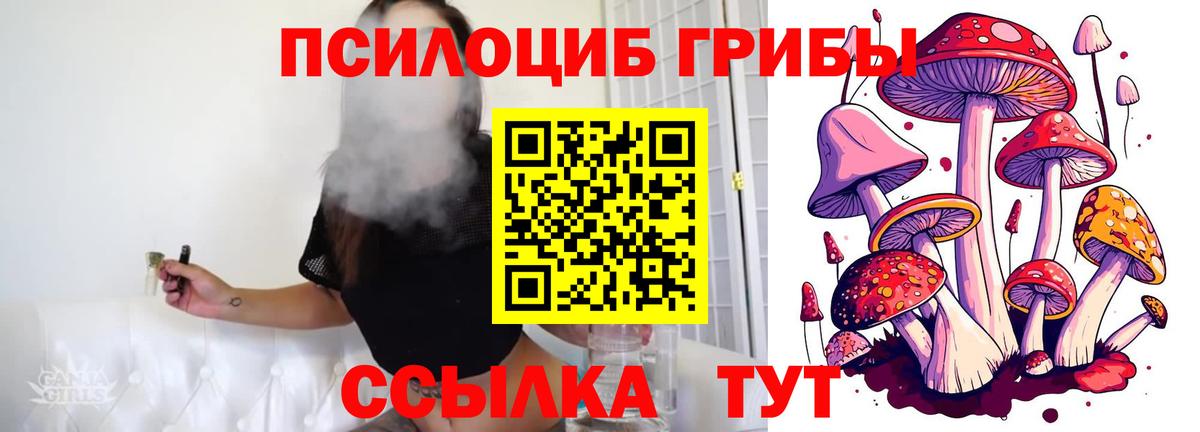 хочу   Псилоцибиновые грибы мухоморы  Вход с VPN  Всеволожск 